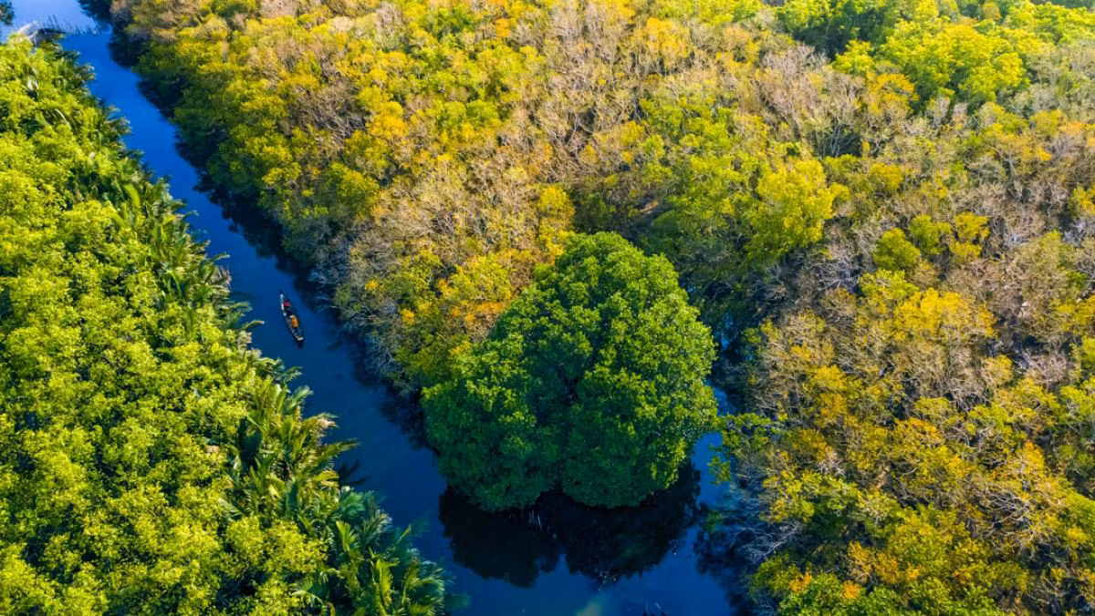 Alrededores de Ru Cha y otras áreas del ecosistema de Tam Giang-Cau Hai, la gente se gana el pan pescando y practicando la acuicultura.