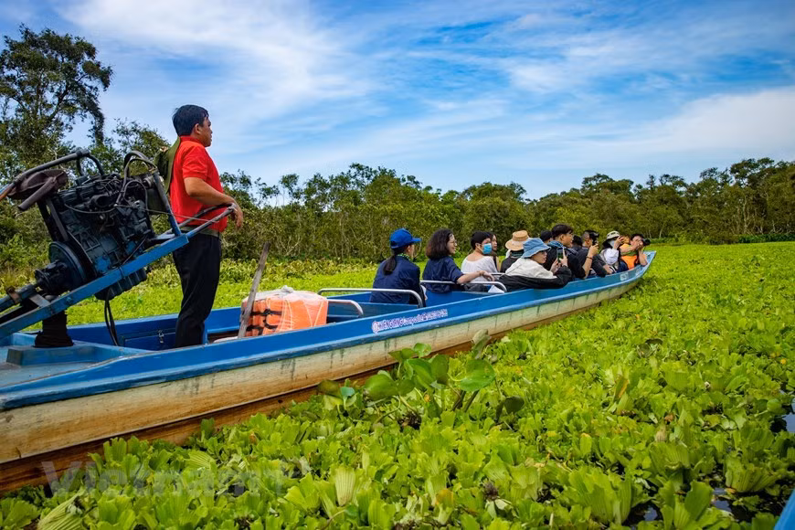 Los visitantes se sentirán abrumados por el vasto bosque de cajeput y tendrán la oportunidad de explorar el típico ecosistema de bosque inundado al oeste del río Hau con muchas especies diversas y raras de flora y fauna.