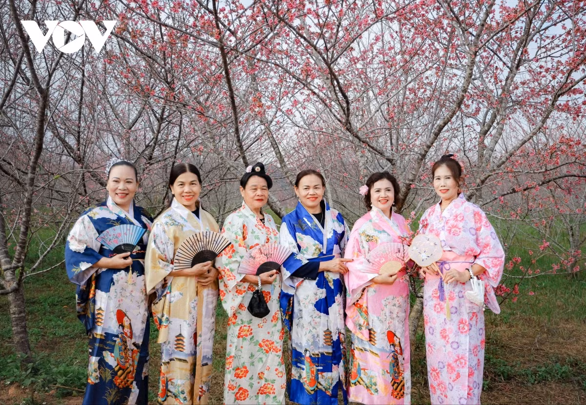 Los trajes tradicionales de las mujeres de Japón, la patria de los cerezos en flor.