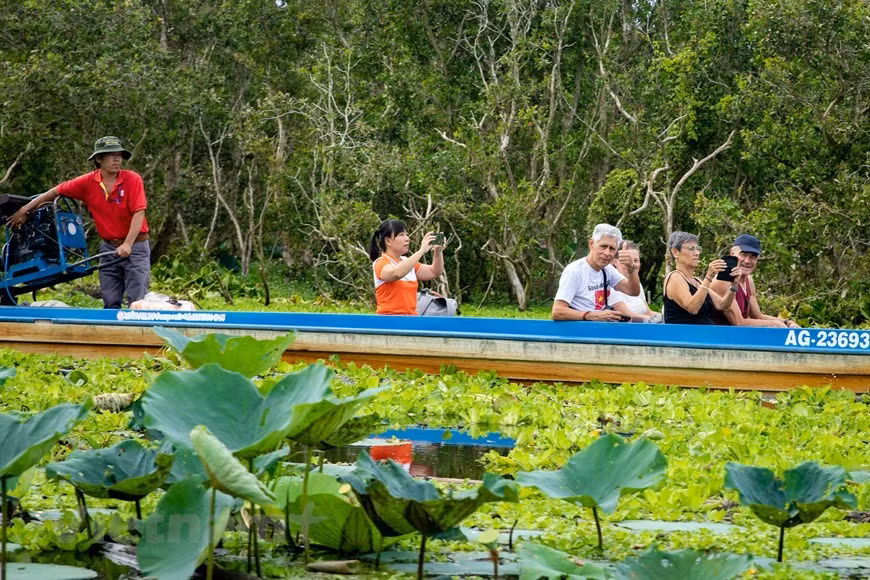 Los turistas extranjeros encantados de sumergirse en la naturaleza.