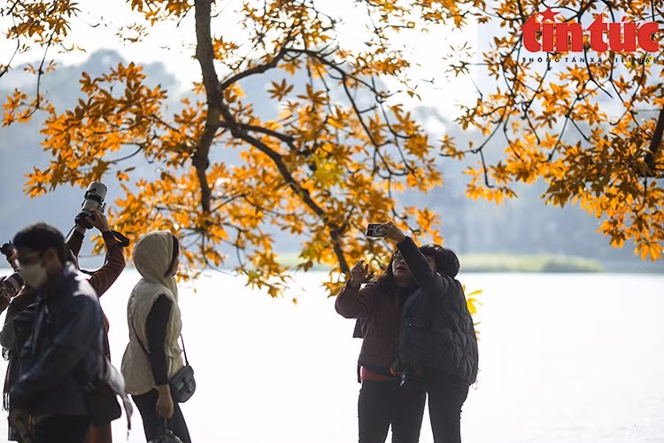 Los visitantes del lago Hoan Kiem pueden disfrutar de los momentos más románticos del año.