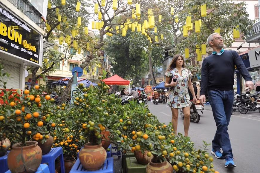 Los bonsái en la calle Hang Luoc