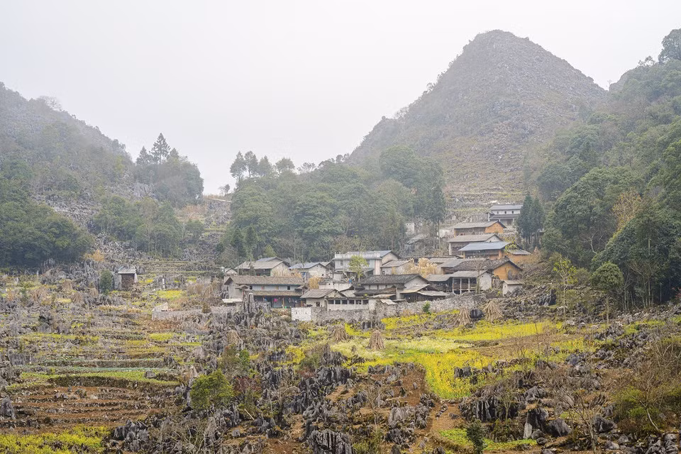 Las casas en laderas rocosas y los campos de flores de mostaza son una belleza típica de Ha Giang en primavera.