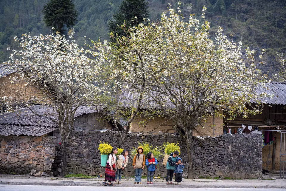 La belleza de la gente y el hermoso paisaje son lo que atrae a los turistas a Ha Giang.