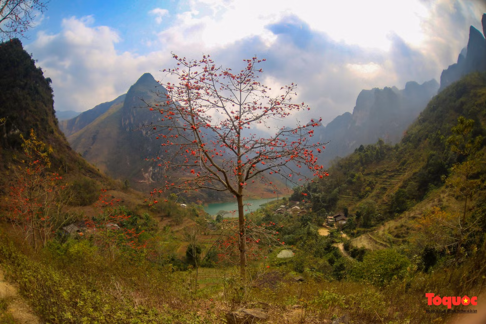 Muchos turistas visitan Ha Giang por estos días para guardar imágenes y momentos en los coloridos caminos de flores rojas.