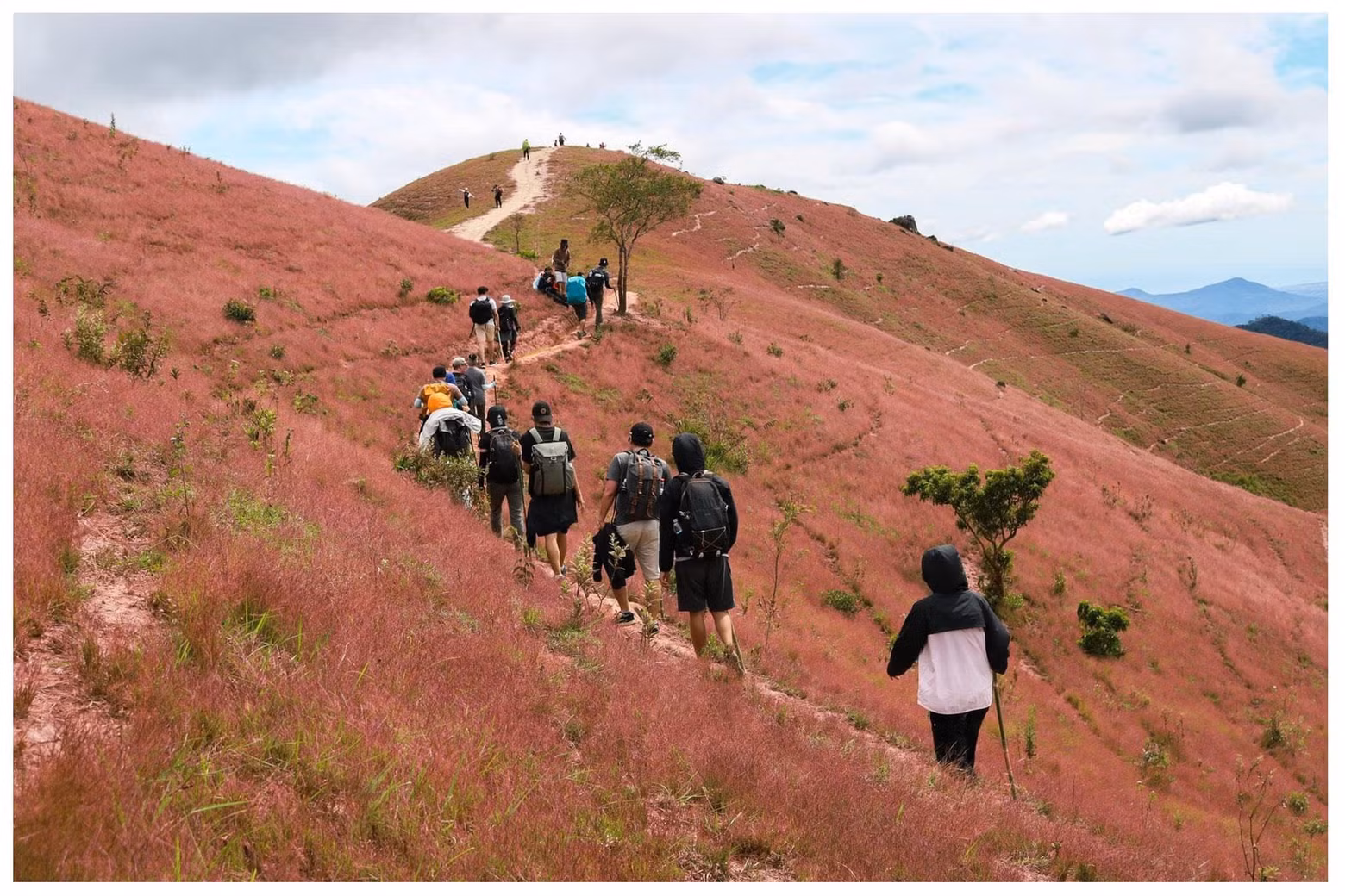 De diciembre a abril, la tierra está seca, el cielo es azul y la hierba llena de vitalidad. Esta es la mejor estación del año para visitar Ta Nang- Phan Dung.