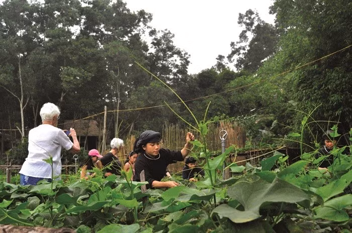Turistas visitan Thai Hai. (Foto: thaihai.vn)