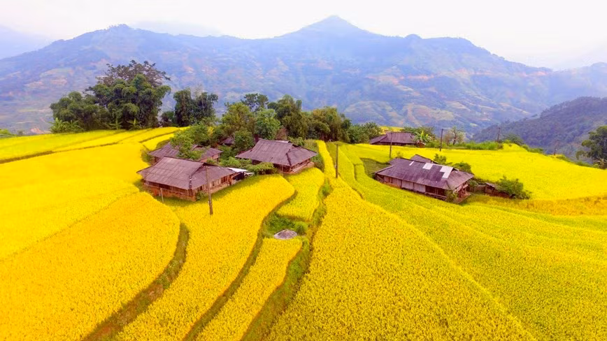 Por su valor e identidad, las terrazas de arroz de Hoang Su Phi fueron reconocidas como Patrimonio Paisajístico Nacional en 2012 por el Ministerio de Cultura, Deportes y Turismo. Por su valor e identidad, las terrazas de arroz de Hoang Su Phi fueron reconocidas como Patrimonio Paisajístico Nacional en 2012 por el Ministerio de Cultura, Deportes y Turismo.