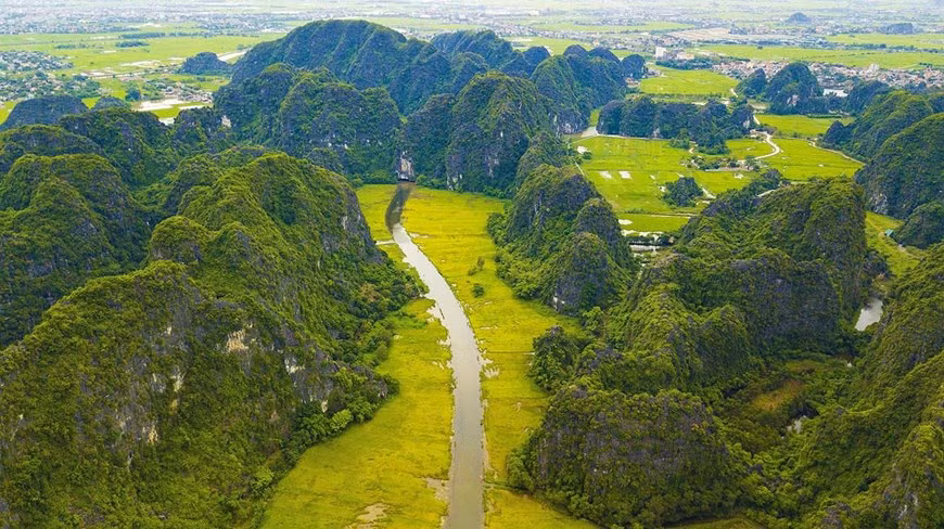 Los campos de arroz dorados a lo largo del río Ngo Dong, en la zona turística de Tam Coc-Bich Dong, de la provincia de Ninh Binh Los campos de arroz dorados a lo largo del río Ngo Dong, en la zona turística de Tam Coc-Bich Dong, de la provincia de Ninh Binh