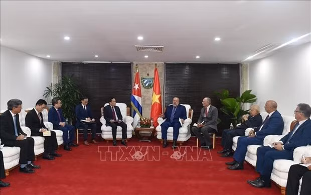 El viceprimer ministro de Vietnam Tran Luu Quang conversa con el primer ministro de Cuba, Manuel Marrero Cruz. (Foto: VNA)