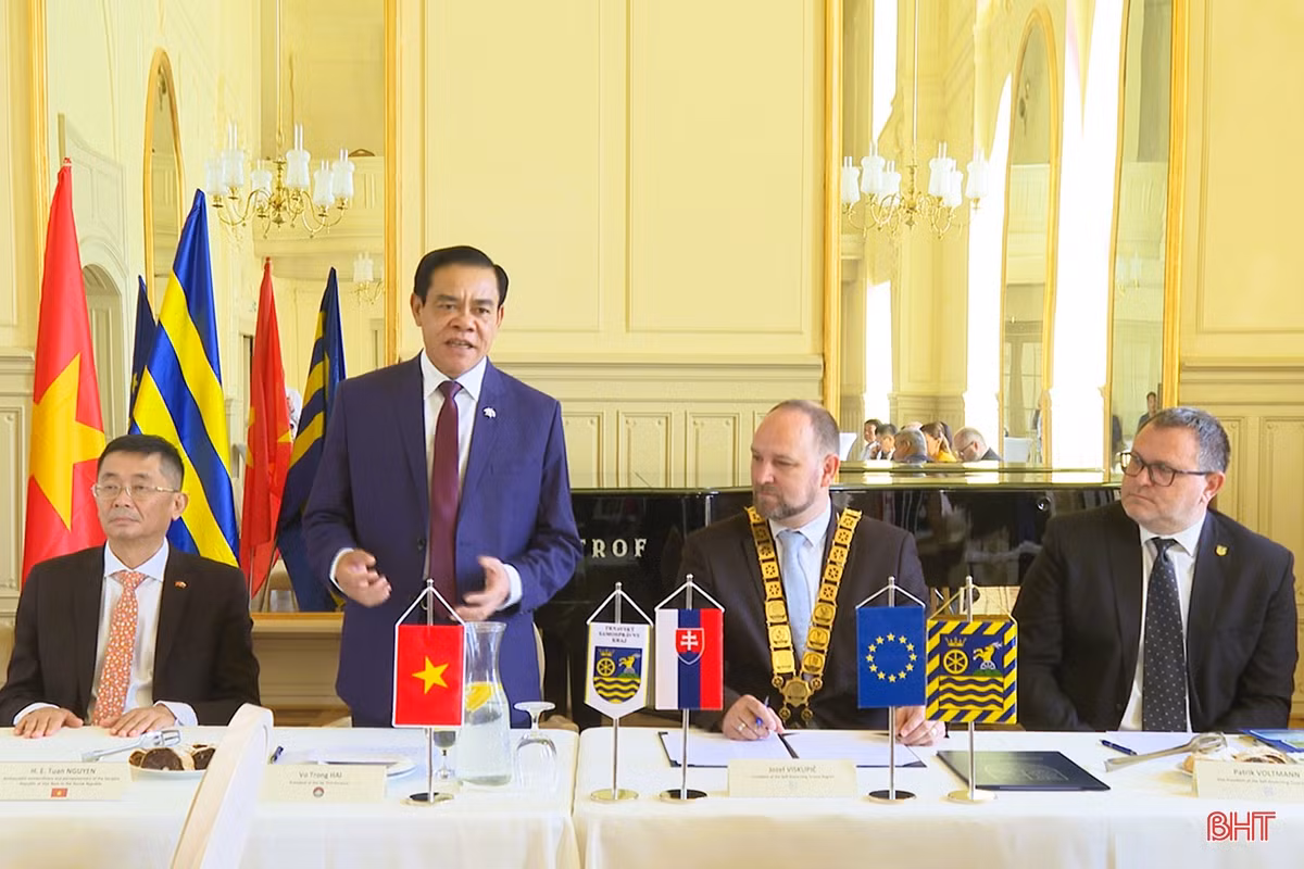 El presidente del Comité Popular de Ha Tinh, Vo Trong Hai, habla en el encuentro.