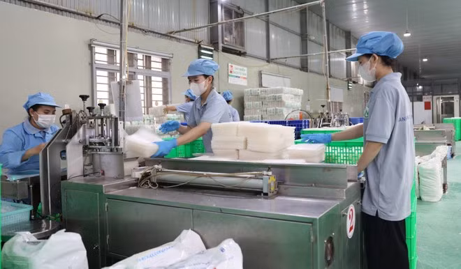 En una empresa en la provincia de Tay Ninh. (Fuente: VNA)