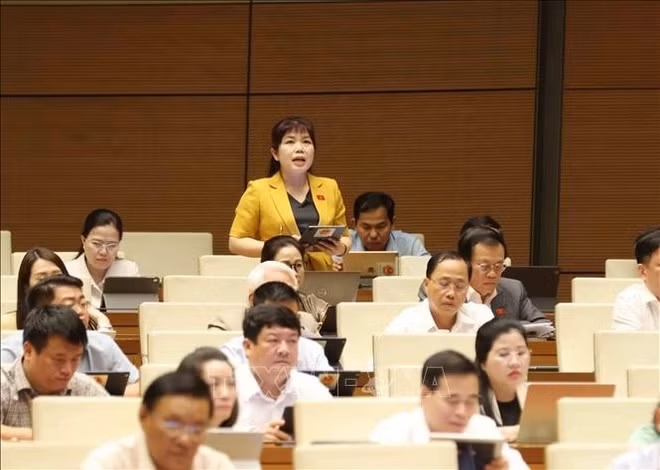 La diputada Nguyen Thi Thu Ha (de pie), de Quang Ninh, interviene en el debate. (Foto: VNA) La diputada Nguyen Thi Thu Ha (de pie), de Quang Ninh, interviene en el debate. (Foto: VNA)