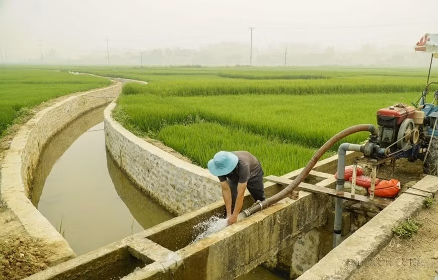 La gente de la provincia de Dien Bien utiliza bombas para regar los campos de arroz. (Foto: VNA)