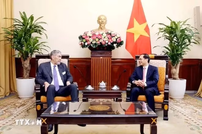 El ministro de Relaciones Exteriores de Vietnam (actualmente viceprimer ministro y canciller), Bui Thanh Son, recibió a Miguel Mejia, secretario general del Movimiento Izquierda Unida (MIU) y ministro para Políticas de Integración Regional de República Dominicana en junio pasado. (Fuente: VNA)