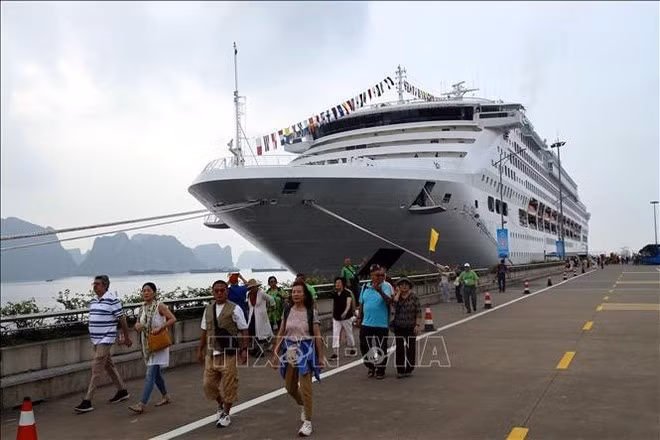 El crucero Pacific World trae 1.700 turistas a la provincia de Quang Ninh. (Foto: VNA)