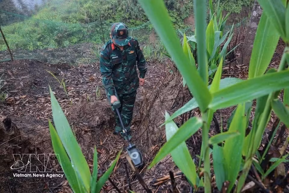 El equipo utiliza detectores para localizar y neutralizar minas y artefactos explosivos aún presentes en el área de búsqueda y recuperación de restos de mártires. (Foto: VNA)