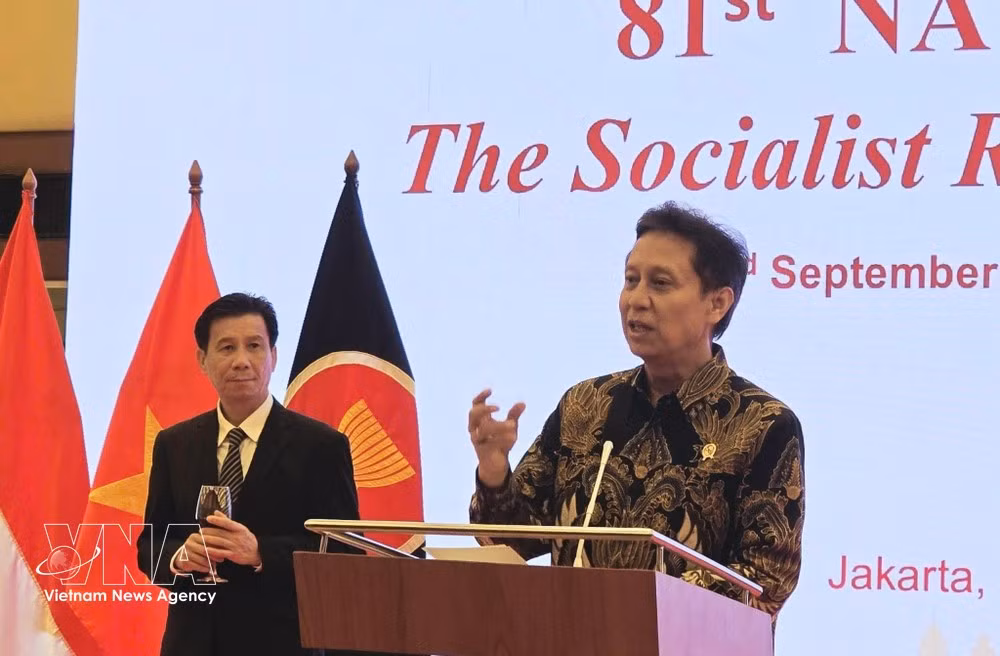 El ministro de Salud de Indonesia, Budi Gunadi Sadikin, felicita al Gobierno y al pueblo de Vietnam con motivo del 81º aniversario del Día Nacional. (Foto: VNA)