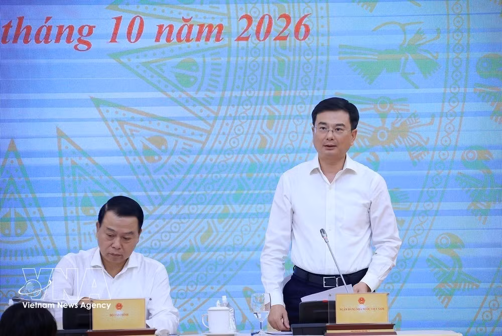 El vicegobernador del Banco Estatal de Vietnam Pham Thanh Ha responde a preguntas de la prensa. (Foto: VNA)