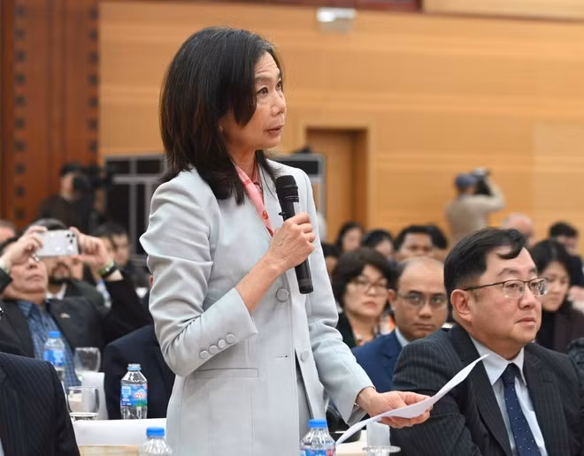 La coordinadora residente de la ONU en Vietnam, Pauline Tamesis, interviene en la cita (Foto: VNA)