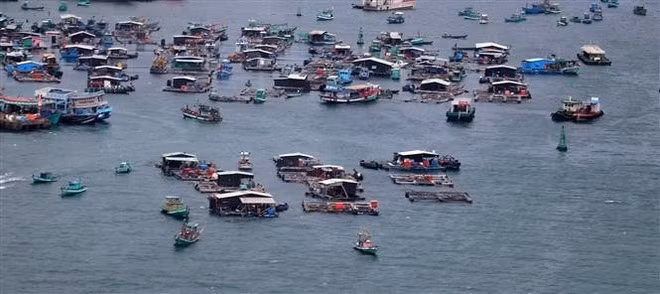 Piscicultura en jaulas en el mar de Phu Quoc (Kien Giang). (Foto: VNA)