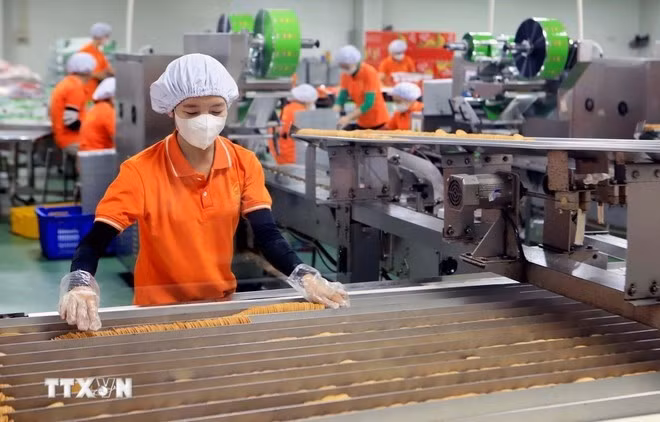 Los obreros trabajan en una fábrica. (Foto: VNA)