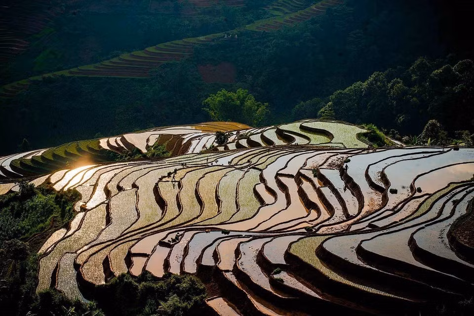 Campos en terrazas durante la temporada de riego en la comuna de Lao Chai, provincia de Lao Cai. (Foto: VNA)