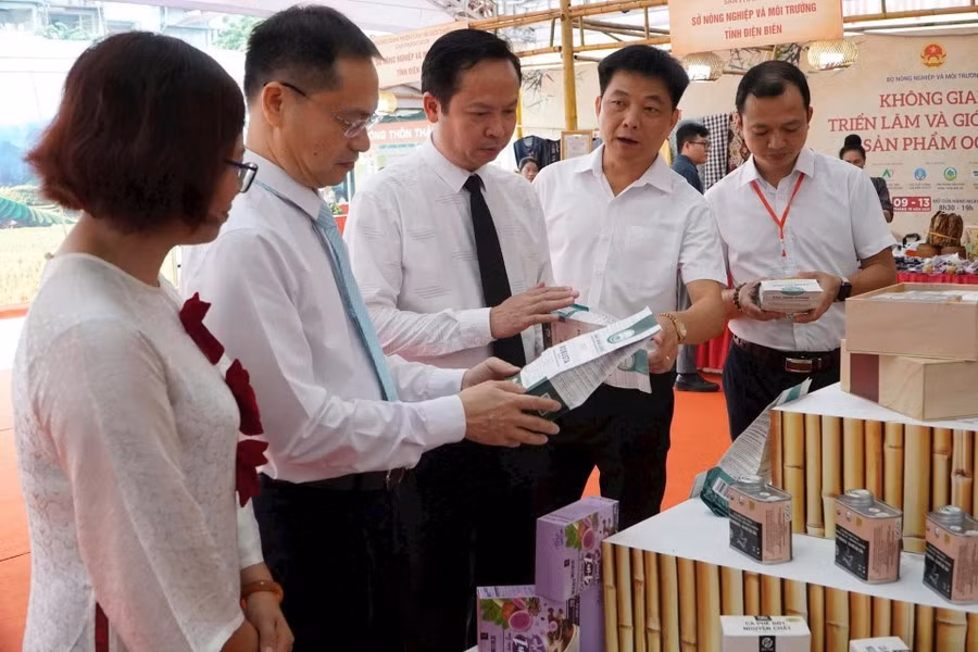 Delegados en la feria. (Foto: giaoducthoidai.vn)