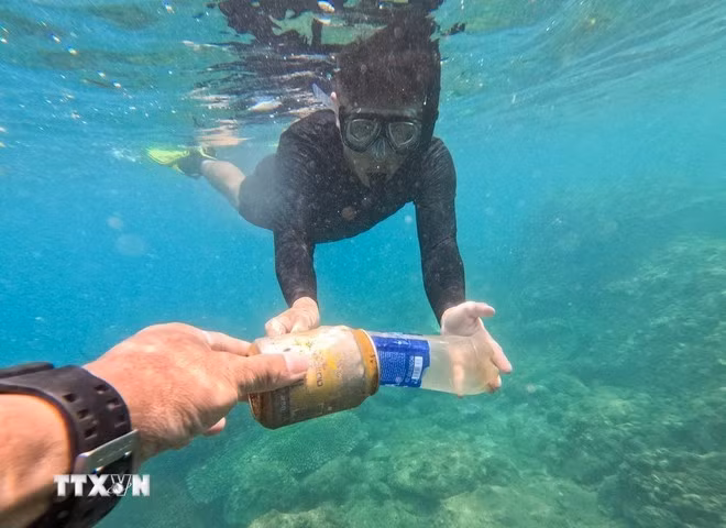 Buzos voluntarios limpian basura en el área de coral de Hon Sup en “Clean Up Son Tra”, un programa de protección ambiental en la península de Son Tra, en Da Nang. (Foto: VNA)