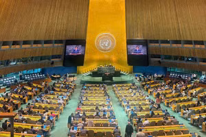 Panorama de la sesión (Foto: Ministerio de Relaciones Exteriores de Vietnam)