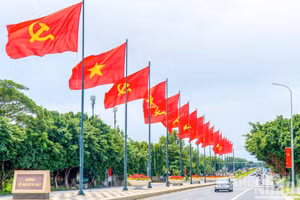 [Foto] Ciudad Ho Chi Minh se viste de gala con flores y banderas para celebrar el Día Nacional