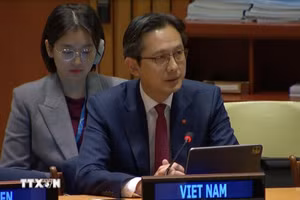 El embajador Do Hung Viet, representante permanente de Vietnam ante las Naciones Unidas en Nueva York. (Foto: VNA)