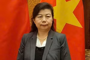 Liu Ying, investigadora del Instituto de Estudios Financieros de Chongyang de la Universidad Renmin de China. (Foto: VNA)