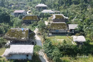 Foto: suckhoedoisong.vn