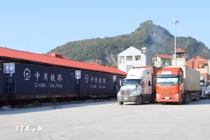 Vehículos que transportan mercancías de importación y exportación a través del paso fronterizo de la Estación Ferroviaria Internacional de Dong Dang (Lang Son). (Foto: VNA)
