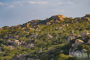 [Foto] Parque de rocas Nui Chua: un museo geomorfológico de millones de años a orillas del mar de Khanh Hoa