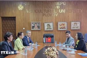 En la sesión de trabajo (Foto: VNA)