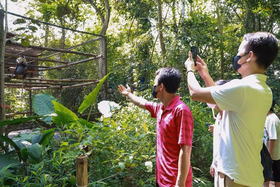 El centro está abierto al público mediante visitas guiadas, con el objetivo de educar y sensibilizar tanto a visitantes como a comunidades locales sobre el valor de los primates y la importancia de conservar la biodiversidad.
