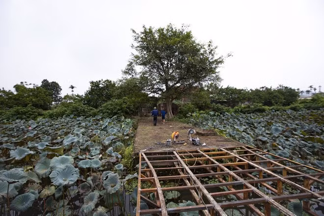 Numerosas viviendas y huertos han sido construidos por los habitantes del caserío de Ba Lam, en el área de la antigua ciudadela, lo que ha contribuido a la pérdida de los vestigios restantes de este sitio histórico.