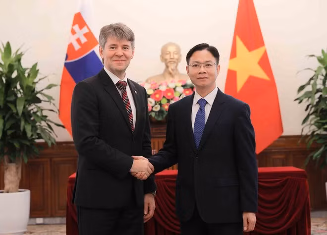 El viceministro vietnamita de Relaciones Exteriores Ngo Le Van (derecha) recibe al secretario de Estado del Ministerio de Asuntos Exteriores y Europeos de Eslovaquia, Marek Estok. (Foto: VNA)