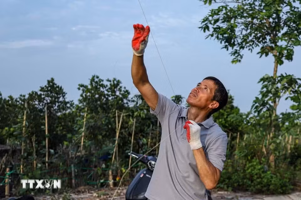 Según Nguyen Van Quyet, el arte de fabricar las flautas radica en la sensibilidad auditiva necesaria para armonizar tubos de distintos tamaños y crear sonidos melódicos y profundos.