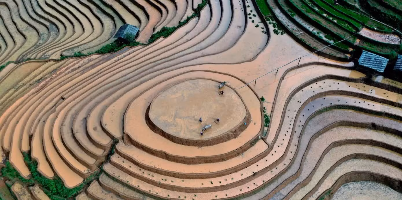 Los pobladores locales se ocupan de preparar la siembra en los arrozales en terrazas de Mam Xoi, en Pung Luong, con la esperanza de una abundante cosecha. (Foto: tienphong.vn)