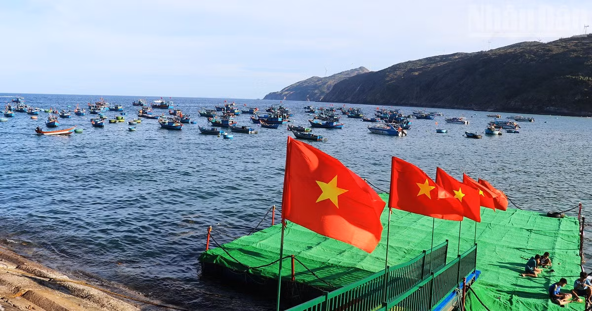 [Foto] Aprovechan potencial del puerto pesquero de Nhon Ly para desarrollar el turismo marítimo