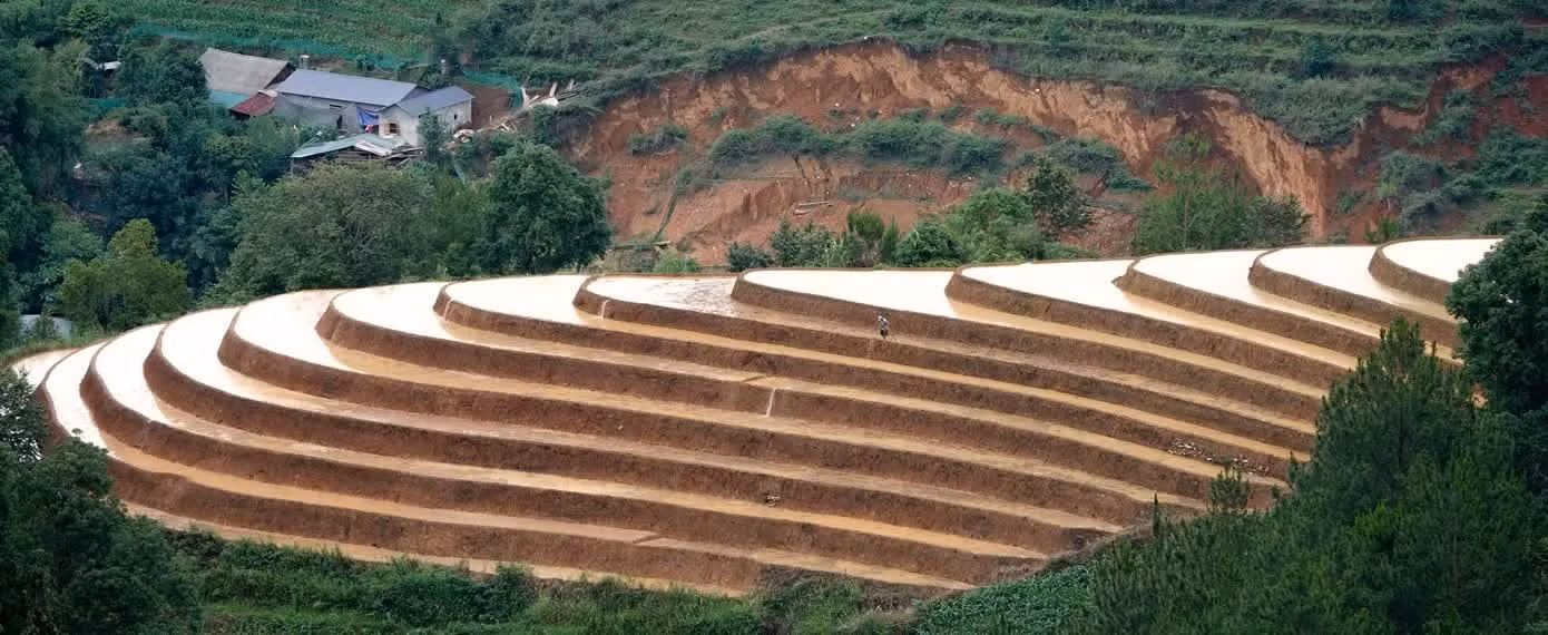 Los arrozales en terrazas emergen entre los verdes bosques durante la temporada de riego, creando un escenario a la vez majestuoso y poético. (Foto: tienphong.vn)