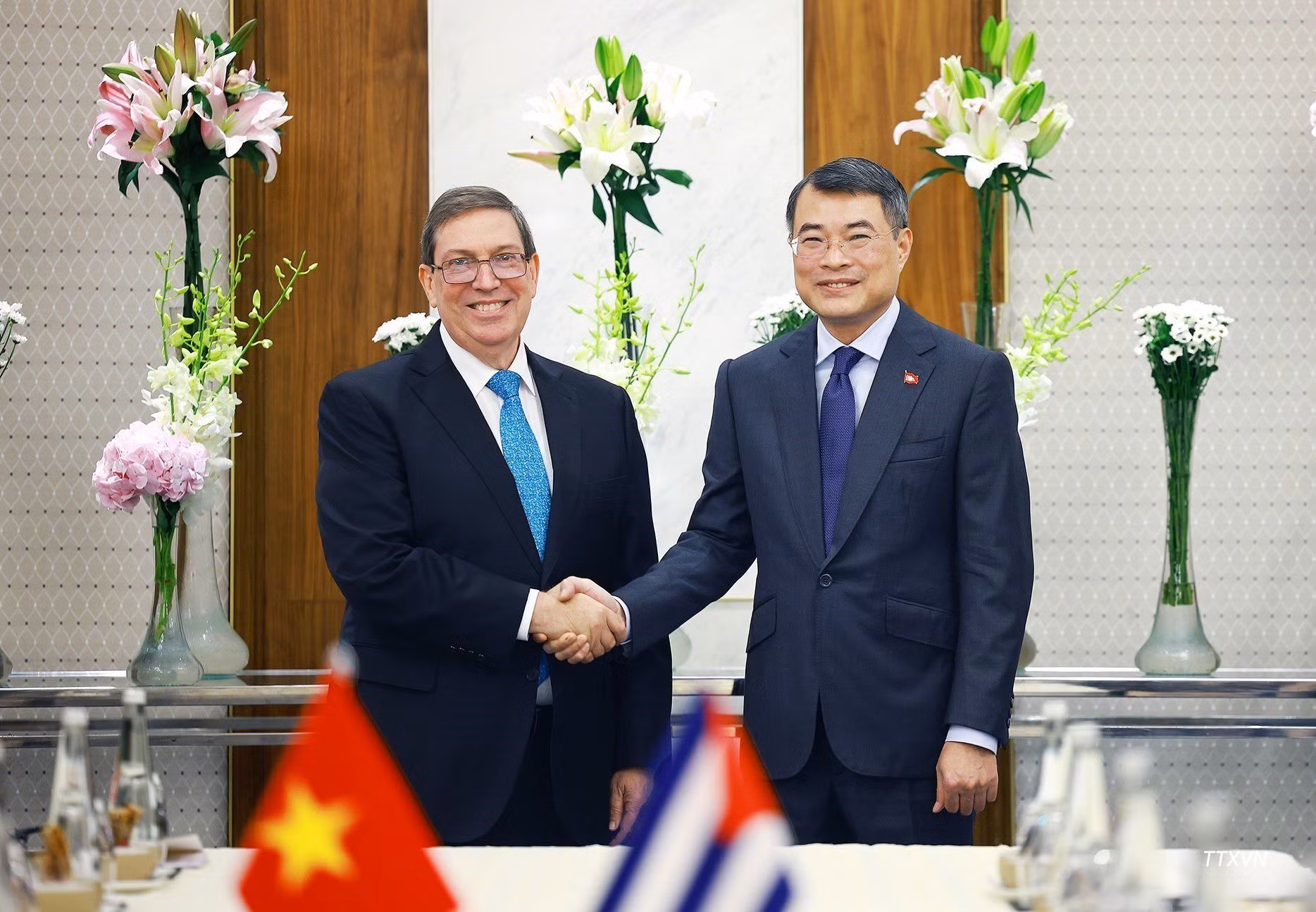 El primer ministro de Vietnam, Le Minh Hung, recibe al ministro de Relaciones Exteriores de Cuba, Bruno Rodríguez Parrilla. (Foto: VNA)