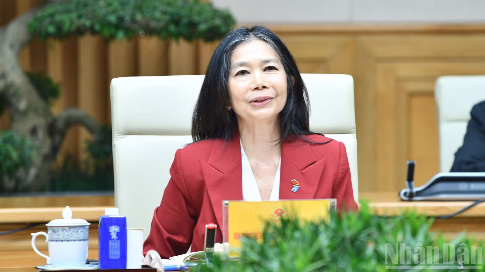 La coordinadora residente de las Naciones Unidas en Vietnam, Pauline Tamesis, interviene en el encuentro. (Foto: Thanh Giang)