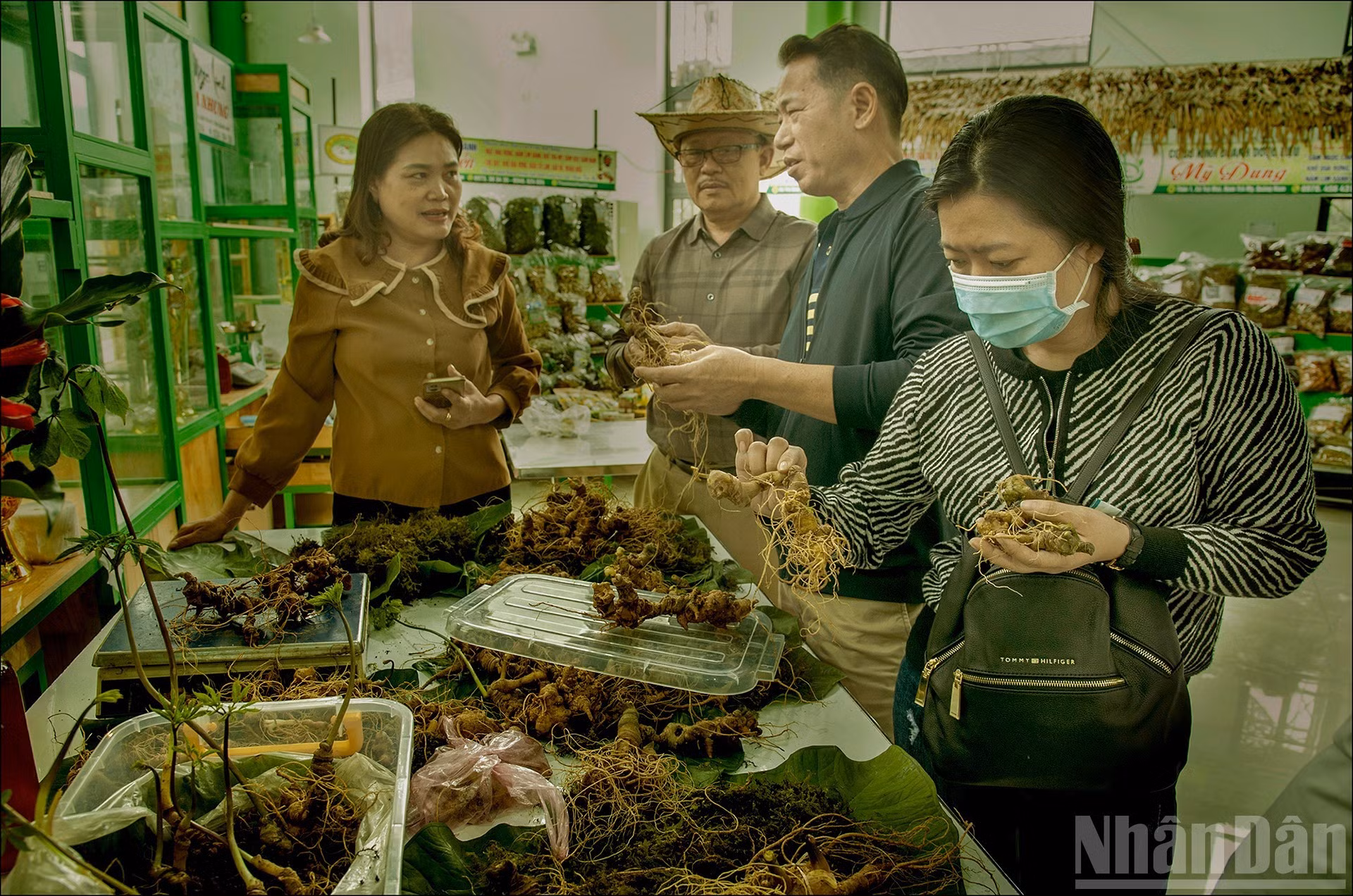 Raíces frescas de ginseng que se comercializan en el mercado de Nam Tra My, celebrado el día primero de cada mes.