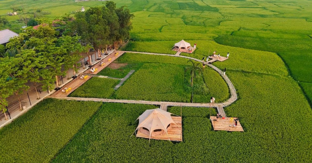 Turismo entre arrozales: una experiencia rural en Quang Binh