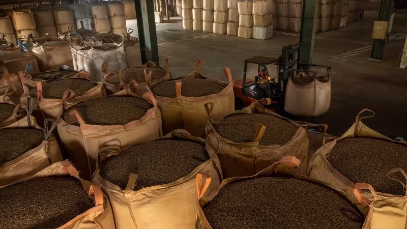 El café vietnamita todavía tiene muchas oportunidades de exportarse al mercado tailandés.