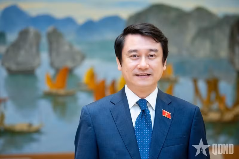 El vicecanciller de Vietnam, Le Anh Tuan. (Foto: qdnd.vn)